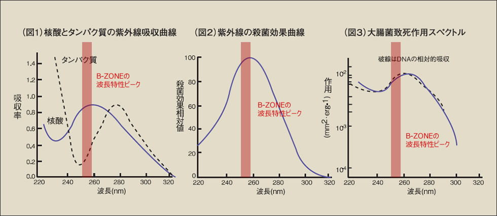 B-ZONEの波長特性ピーク図