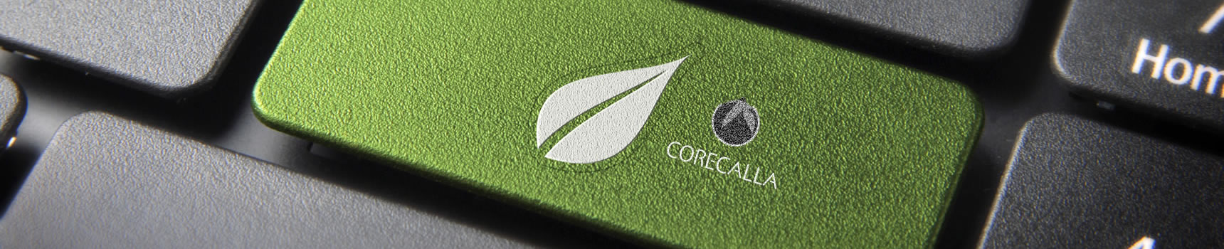 紫外線殺菌灯B-ZONE